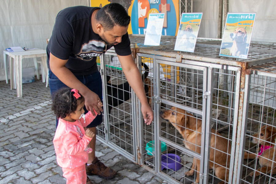 prefeitura-realiza-feira-de-adocao-de-caes-e-gatos-neste-sabado-24-na-cohab-5