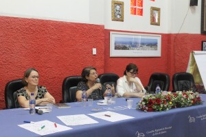 oficina-de-psicologia-para-gestao-integral-de-riscos-e-desastres-traz-debate-sobre-a-formacao-do-psicologo